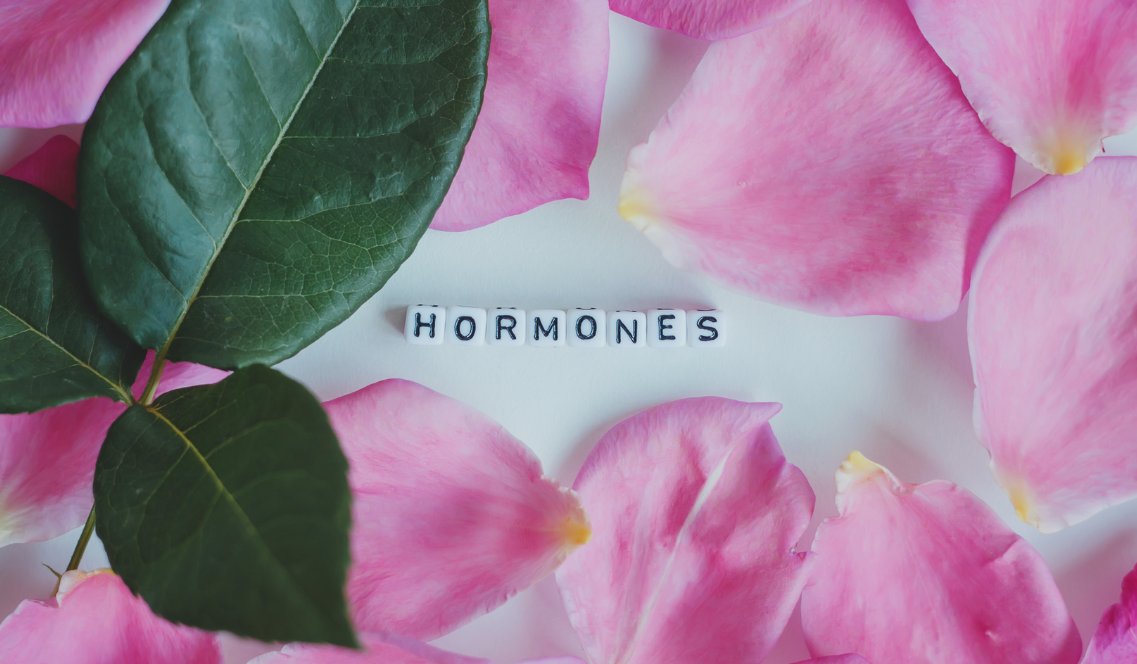 Come cambiano i nostri ormoni con le stagioni