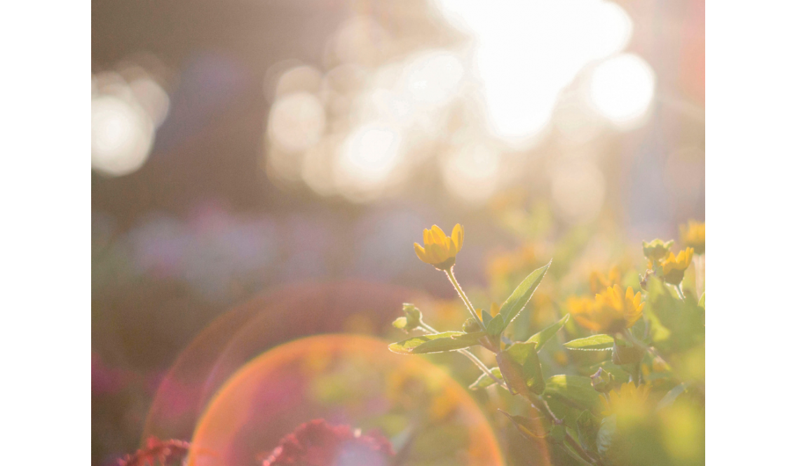 Come preparare la pelle al sole in primavera