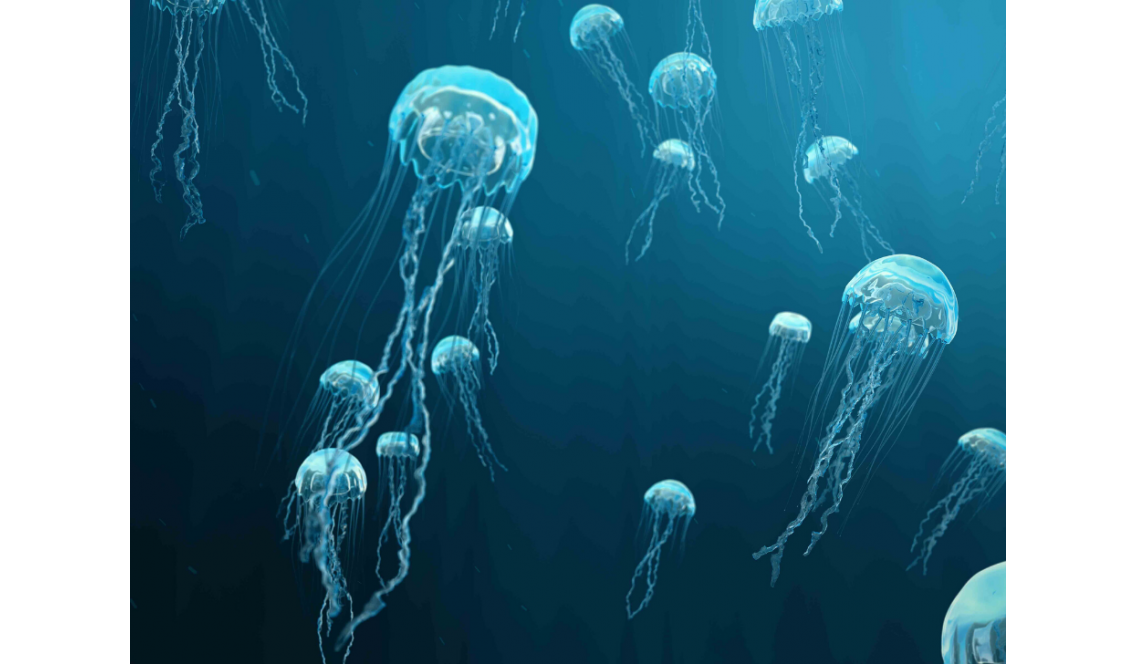 L'ammoniaca serve contro le punture di medusa?