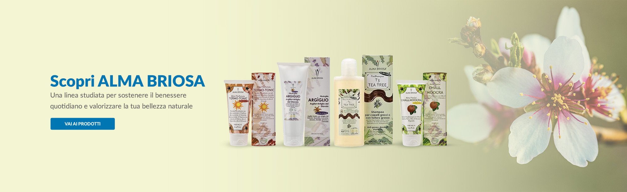 alma briosa