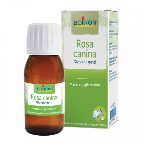 ROSA CANINA macerato glicerico fonte di vitamina C naturale 60ml