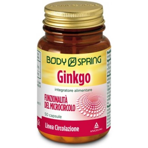 BS GINKGO 120MG 50CPS BSP