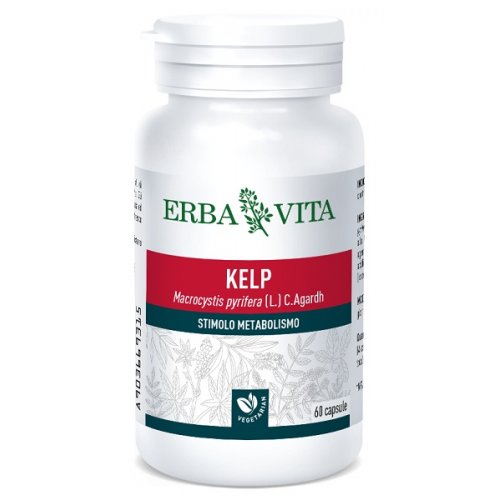 KELP  60CPS 500MG  ERBA VITA