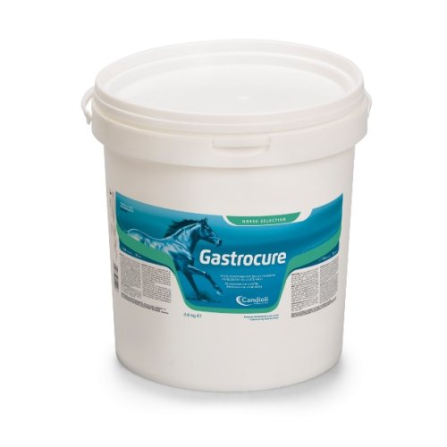 GASTROCURE 2,6Kg