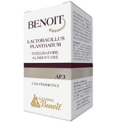 BENOIT AF3 LACTOBACILLUS PLANTHA