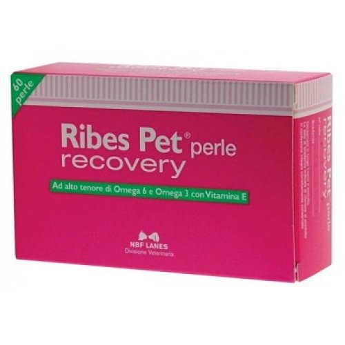 RIBES-PET RECOVERY mangime benessere pelle e peli di cani e gatti 60 perle