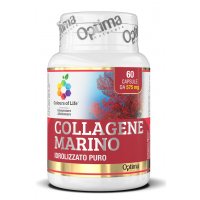 COLLAGENE MARINO Idrolizzato Optima integratore 60 capsule 