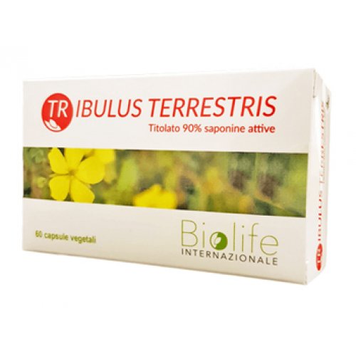 TRIBULUS TERRESTRIS 60 Cps