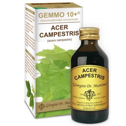 ACERO CAMP 100ML ANALCO GEM10+<