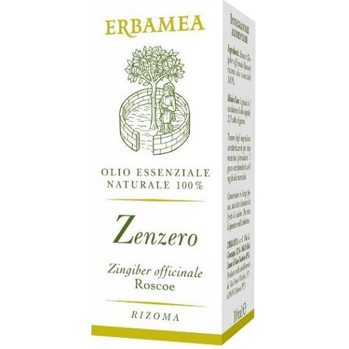 ZENZERO 10ML ZENZERO 10ML