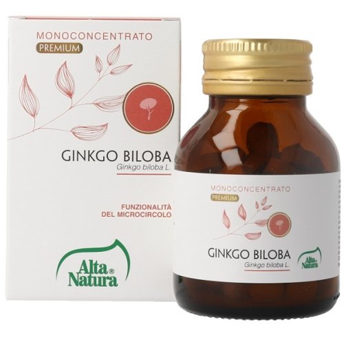 GINKGO BILOBA 100CPR 900MG GINKGO BILOBA 100CPR 900MG