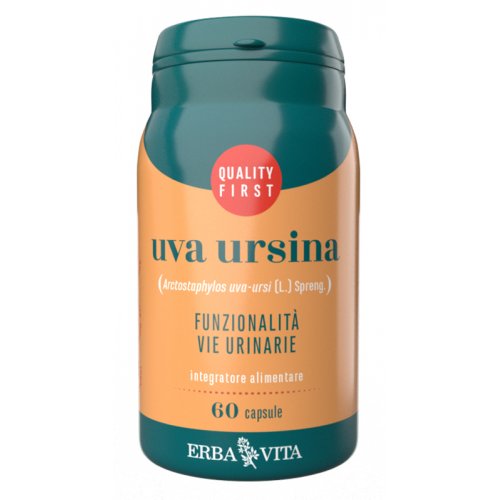 UVA URSINA  60 Cps 500mg   EBV