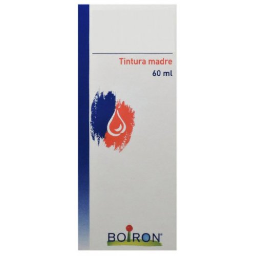 THUYA OCC TM 60ML BO