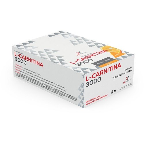 L CARNITINA 3000MG 24FL 25ML