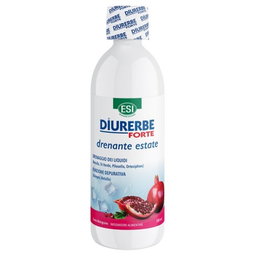 DIURERBE Fte Melogr.Bipacco