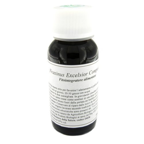 22N FRAXINUS EXCELSIOR COM LVS