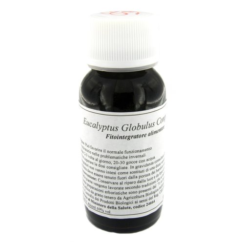 56S EUCALYPTUS GLOBULUS COMP LVS