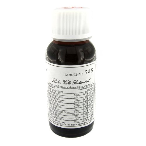 LVS 74S Eryngium Campestre Com