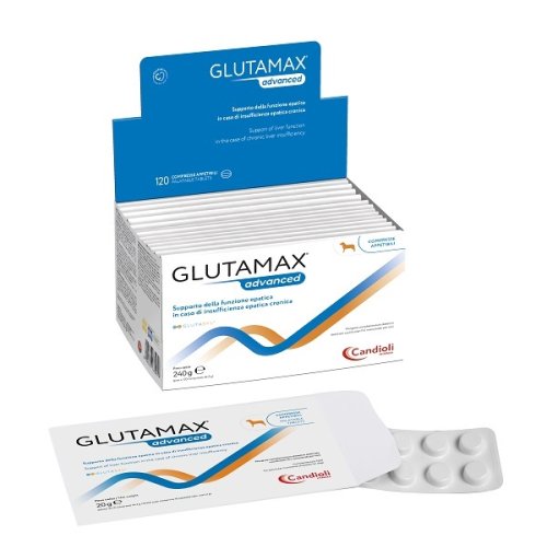 GLUTAMAX Advanced 120 Cpr GLUTAMAX Advanced 120 Cpr