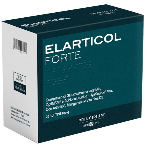 PRINCIPIUM Elarticol Fte20Bust PRINCIPIUM Elarticol Fte20Bust