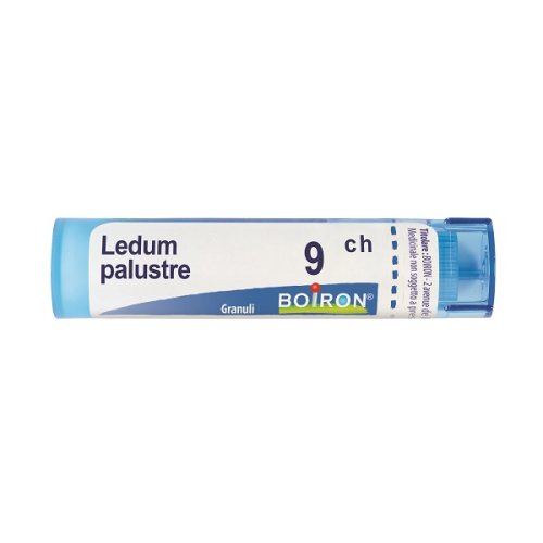 BO.LEDUM PALUSTRE 9CH TUBO
